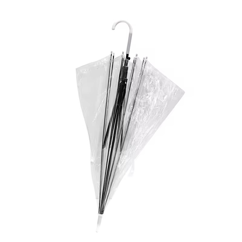 Transparent Japanese Umbrella